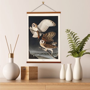 Barn Owl by John James Audubon Scientific Illustration Canvas Wall Print with Magnetic Hanger