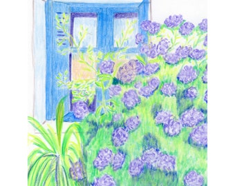 Illustration Fenêtre aux hortensias