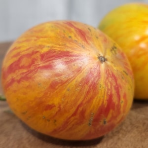 Mandi&#39;s Fire Tomato Seeds Rare New, 20 Seeds, Indeterminate Beefsteak Variety Heirloom tomato seeds, Best Yellow Tomatoes