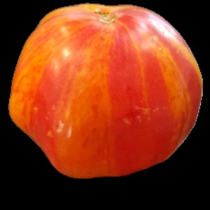 Mr Stripey Tomato Seeds, Indeterminate Beefsteak Variety Open Pollinated Non GMO Heirloom Tomato Seeds 30 Seeds