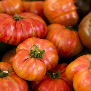 Big Rainbow Tomato Seeds, Indeterminate Non GMO Open Pollinated Heirloom Garden Tomatoes, Rainbow Tomato Seeds, 20 seeds, 50 seeds