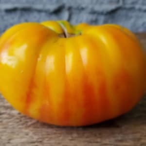 Striped German Tomato Seeds, Open Pollinated NON GMO Heirloom Tomato Seeds, Rare Striped German Tomatoes, 25 Seeds