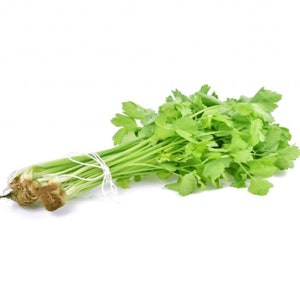 May include: A bunch of fresh green cilantro tied together with twine. The cilantro has long stems and bright green leaves.