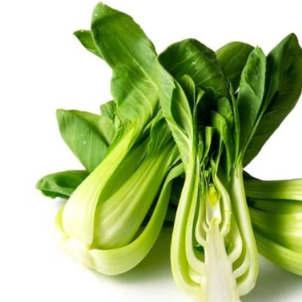 Pak Choi, Chinese Pak Choi, Bok Choi, Green Cabbage, Green Leafy Vegetable, Cold Tolerant NON GMO Open Pollinated   230 Seeds