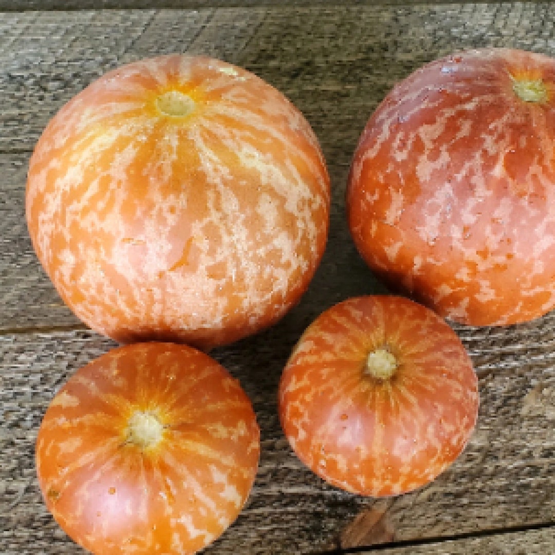Rare Tigger Melon Seeds Pocket Melon, Cucmis Melon, Tigris River Melon