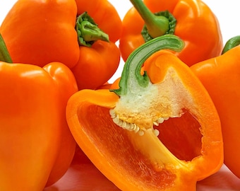 Sweet Orange Bell Pepper Non GMO Open Pollinated Heirloom Pepper Seeds, 20 seeds and 35 Seeds