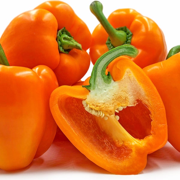 Sweet Orange Bell Pepper Non GMO Open Pollinated Heirloom Pepper Seeds, 20 seeds and 35 Seeds