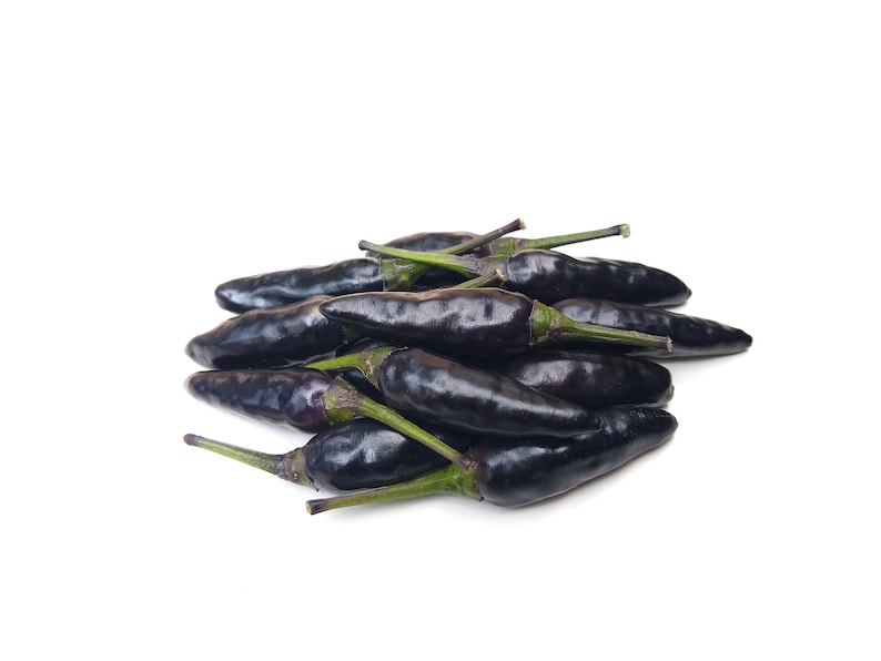 Puede incluir: Un mont&oacute;n de chiles morados oscuros con tallos verdes. Los chiles est&aacute;n dispuestos en un grupo, con algunos superpuestos.