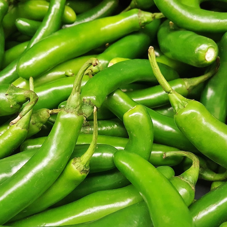Serrano Pepper Seeds | Rich Spicy Pepper Seeds | Heirloom Mexican Pepper | Capsicum annuum | Spicy Pepper Seeds 20 seeds and 35 seeds immagine 1