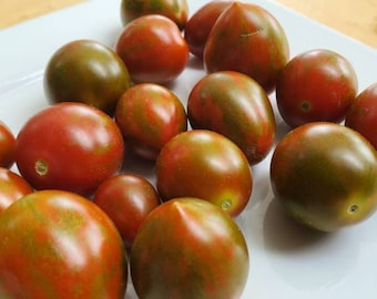 Purple Bumble Bee Tomato Seeds, Indeterminate Non GMO Open Pollinated Heirloom Tomato Seeds, Sweet Grape Tomato Seeds 25 Seeds