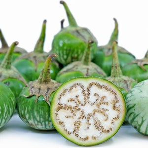 Thai Petch Siam Eggplant 20 Seeds |  Green Round Eggplants | Makheụx | Fresh Eggplant | Round Eggplant | Green Eggplant