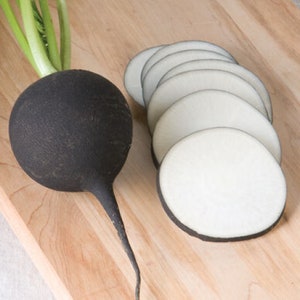 Black Spanish Radish Seeds, Open Pollinated Heirloom Non GMO Radish Seeds, Black Winter Radishes 370 Seeds