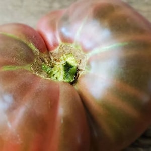 Purple Cherokee Tomato Seeds, Indeterminate Heirloom Beefsteak Tomatoes, Purple Tomato, Non-GMO Tomato Seeds.  50 Seeds