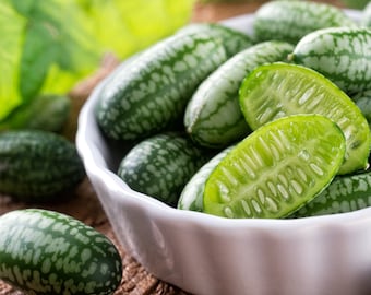 Cucamelon Seeds, Mexican Sour Gherkin , Mouse Melons , Tiny Cucumbers, Cucumber Watermelon 10 seeds, 20 seeds, 35 seeds, and 70 seeds