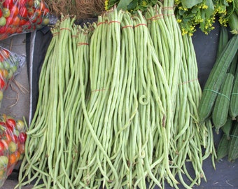 Chinese Yard Long Bean 40+ Seeds, Asian Heirloom, Snake Bean, Yard Long Beans Seeds, Asparagus Beans Seeds, Phaseolus Vulgaris, Non GMO