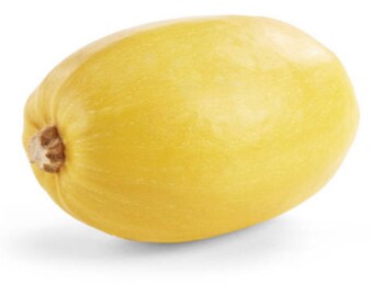 Yellow Spaghetti Squash Seeds, Noodle Squash Garden Seeds, Non GMO Heirloom Open Pollinated