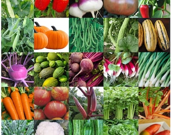 May include: A collage of fresh produce, including red bell peppers, green beans, pumpkins, cucumbers, beets, radishes, scallions, carrots, tomatoes, okra, celery, chard, cauliflower, zucchini, and lettuce.