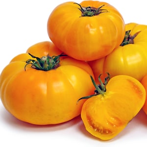 May include: A group of five bright yellow tomatoes, some whole and one cut in half, showing the inside of the fruit. The tomatoes are a vibrant yellow color and have a smooth, slightly bumpy texture.