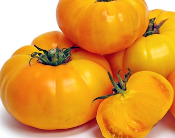 Yellow Brandywine Tomato Seeds, Indeterminated Potato leaf Non GMO Open Pollinated Heirloom Tomato Seeds, 30 Seeds
