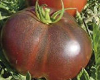 Tomato - Black Krim 50 Seeds