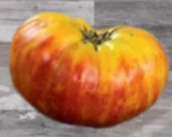 Flame Tomato Seeds, Large Indeterminate heirloom Non GMO open pollinated garden tomato seeds, 20 Seeds