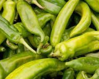 Anaheim Chili Pepper Seeds, Open Pollinated Non GMO Heirloom Chili seeds 20 Seeds and 35 seeds