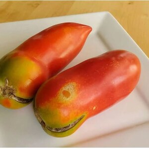 San Marzano Tomato Seeds, Indeterminate Non GMO Open Pollinated Heirloom Tomato Seeds 100 Seeds