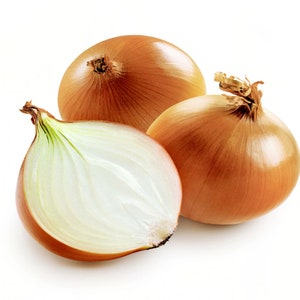 Utah Sweet Spanish Onion 350 Seeds | Cebolla | Allium fistulosum | Oignon Espagnol | Tián yángcōng | meetha pyaaj | Non GMO Open Pollinated