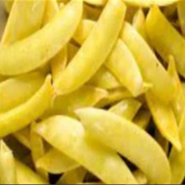 Golden Snap Peas, Early Garden Starter, Fresh Golden Peas, Heirloom Non GMO 100 Seeds