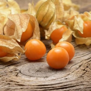Aunt Molly's Ground Cherry Seeds, Heirloom open pollinated Non GMO Tomatillo Seeds, 50 seeds & 100 seeds