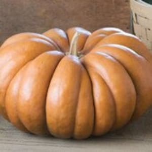 May include: A smooth, orange pumpkin with a slightly flattened shape and a deep, rounded bottom. The pumpkin has a slightly textured surface and a small stem on top.