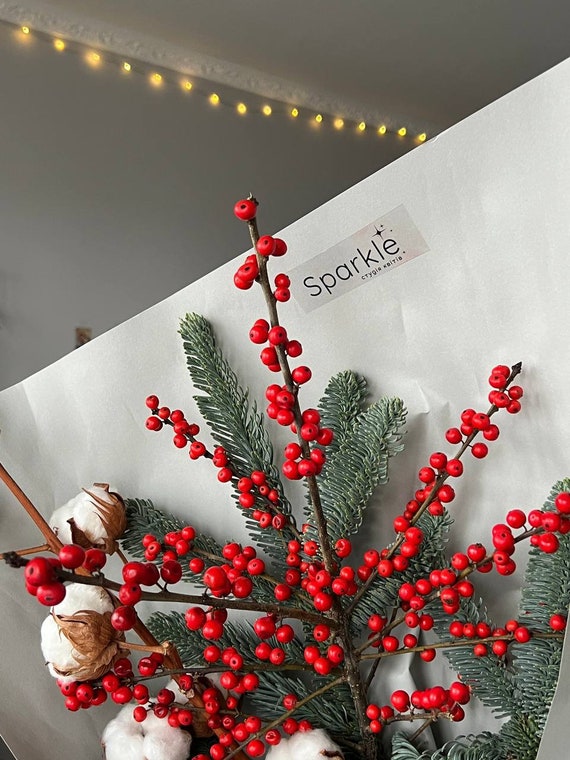 78 Décoratons De Noël Avec Des Pommes De Pn | Pne Cone Decoratons