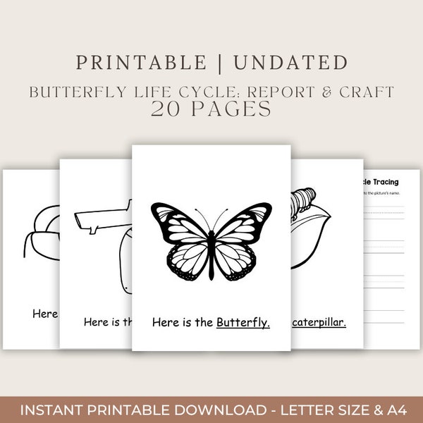 Butterfly Life Cycle Activity, Toddler Learning Printables, Preschool Educational Activity Sheets, Kids' Science Project, Butterfly Craft
