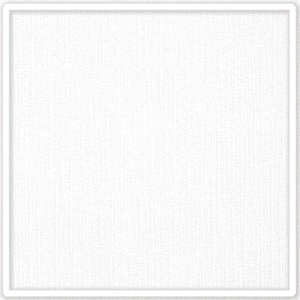 May include: A square, white, textured background with a white border. The texture appears to be a fine weave or fabric, creating a subtle pattern. The border is a simple, clean white frame.