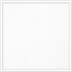 May include: A white textured background with a white border.