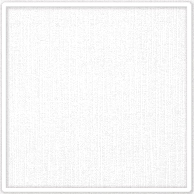 May include: A square, white, textured background with a white border. The texture appears to be a fine weave or fabric, creating a subtle pattern within the white space. The border is a simple, clean frame.
