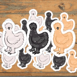 Pegatina de pollo Silkie: trío de pegatinas troqueladas en blanco y gris para portátiles, botellas de agua, álbumes de recortes y decoración de granjas