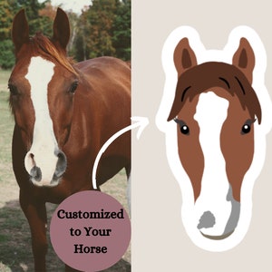 Custom Horse Sticker, Custom Cartoon Horse Decal, Gift for Equestrian,  Gift for Horse Girl, Sticker for Cup, Horse Vinyl Decal, Horse Rider