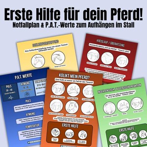 Könnte beinhalten: Eine Sammlung farbenfroher Karten mit Informationen zur Ersten Hilfe für Pferde. Die Karten behandeln Themen wie Schlundverstopfung, Kreislauf, Kolik und Insektenstiche. Jede Karte enthält Illustrationen von Pferden und Anweisungen. Der Text lautet "Erste Hilfe für dein Pferd!"