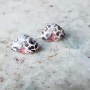 Butterfly earrings:  ceramic butterfly studs, moth studs, gold plated studs, insect jewely, cute gift for sister
