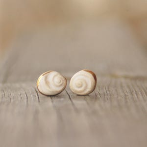 May include: A pair of small, round stud earrings with a spiral design. The earrings have a cream-colored center with a brown border and a gold-colored accent. The earrings are displayed on a wooden surface.