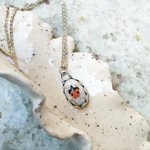 May include: A silver necklace with a pendant featuring a ladybug design. The pendant is oval-shaped with a white background and a red and black ladybug. The necklace is displayed on a white, speckled ceramic dish.