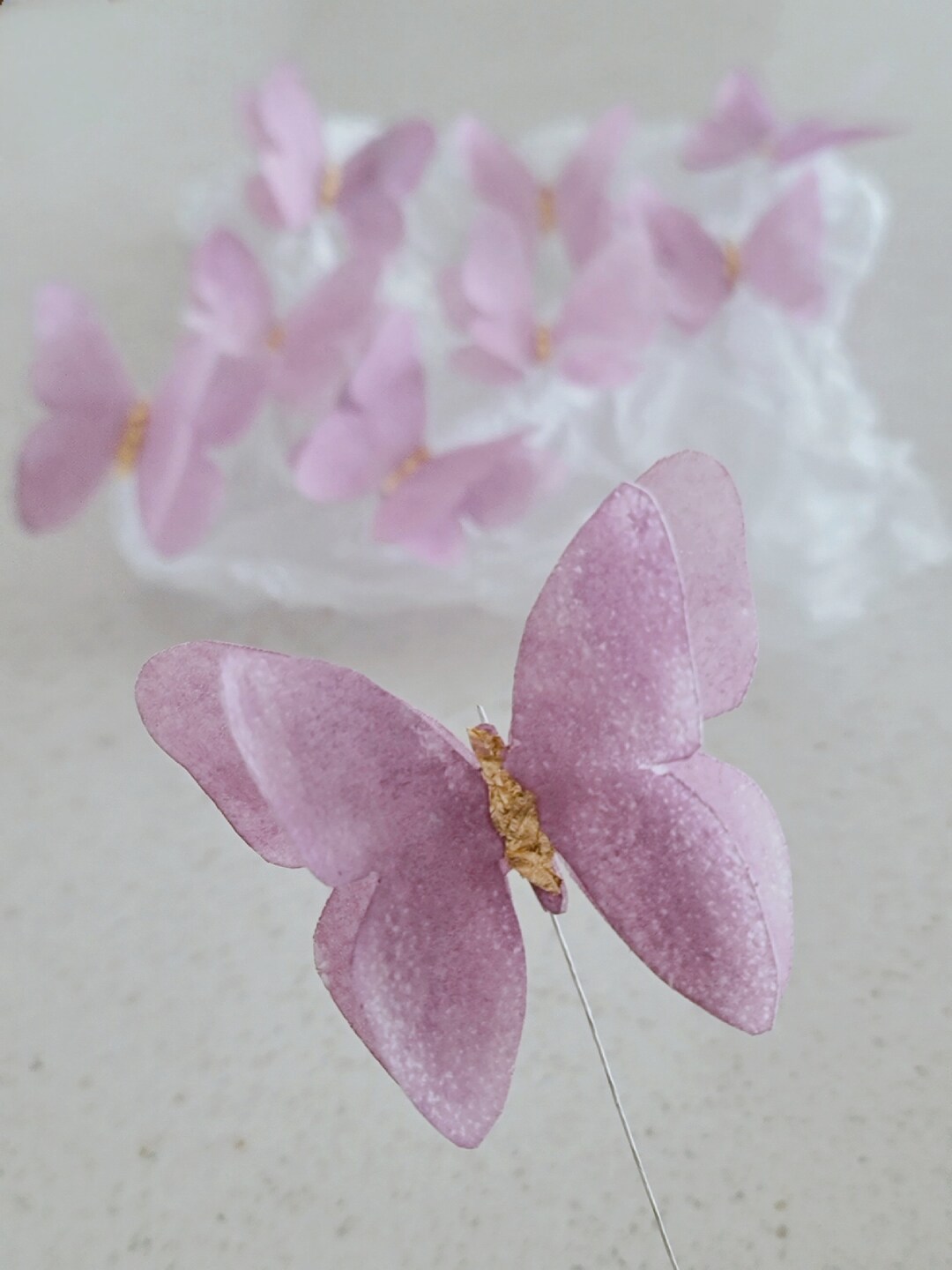 Wafer Paper Butterfly Etsy