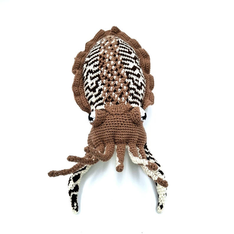 Carly the Cuttlefish | Crochet Pattern | Easy to Follow | Ocean ...