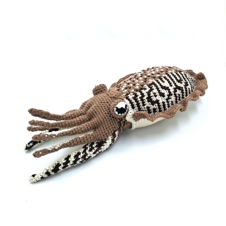 Carly the Cuttlefish | Crochet Pattern | Easy to Follow | Ocean ...