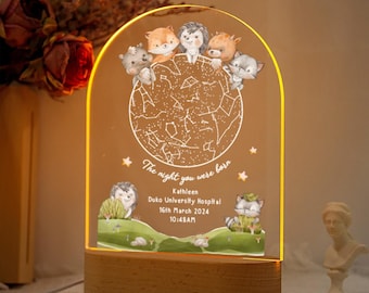 Star Map Night Light for Baby, Personalized Special Day Constellation Map, Custom Star Map, Birthday Gift Children, The day you were born
