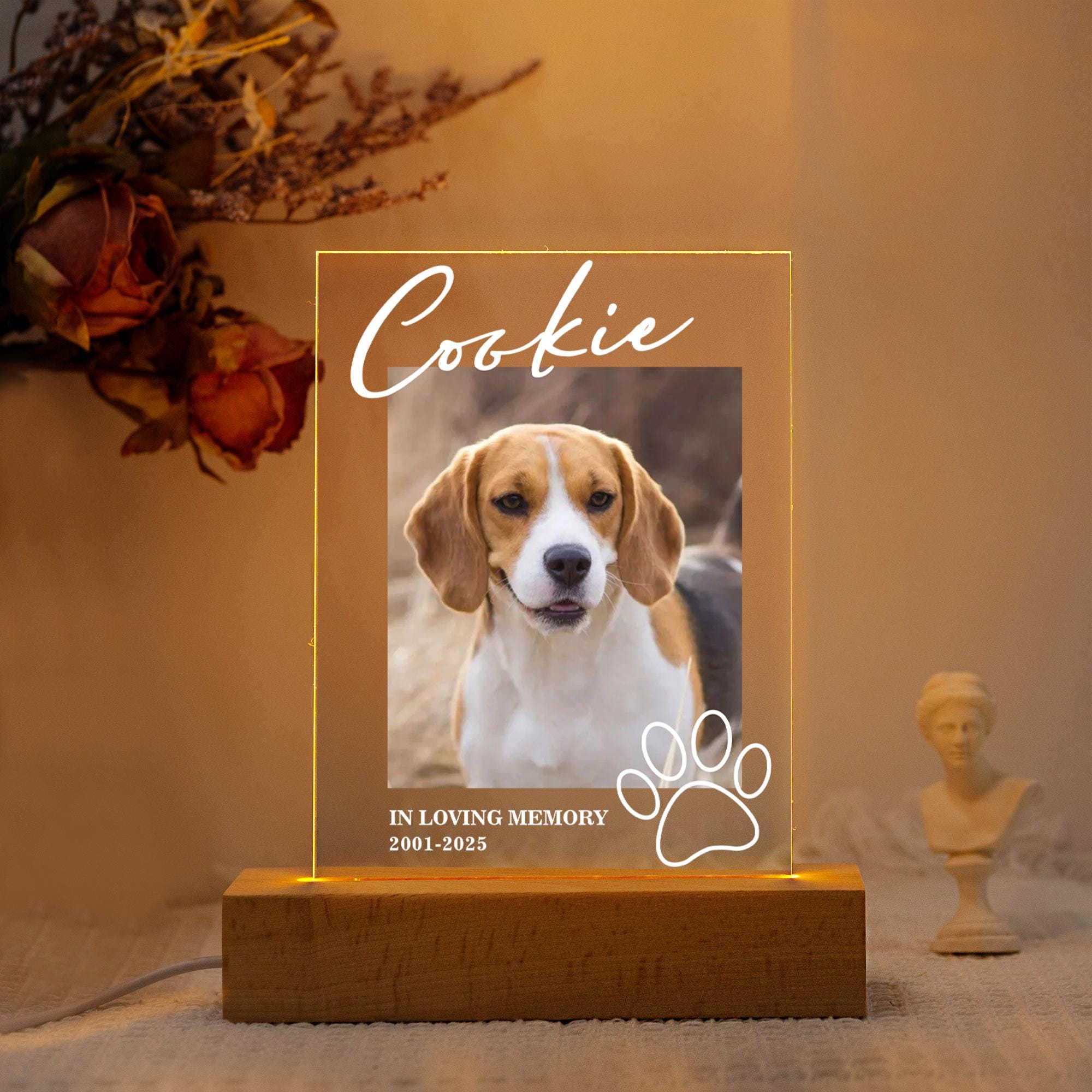 Personalized Pet Photo Memorial Night Light: Custom Dog Cat Loss Gift ...
