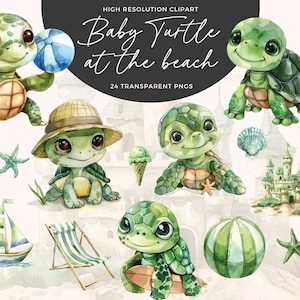 Baby-Meeresschildkröte Clipart | Meerestiere Clipart | Schildkröte Sublimation | Niedliche Meeresschildkröte Clipart | Schildkröte PNG | Kinderzimmer Clipart | Junk Journal