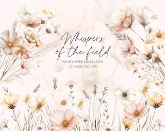 Boho Wildflower Clipart | Neutral Summer Floral PNG (Digital Download)
