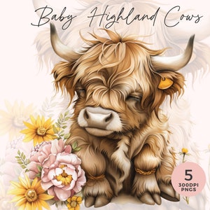 Highland Kuh Clipart | Highland Kuh Png | Aquarell Sonnenblume Highland Kühe | Süße Highland Kuh Png | Kommerzielle Nutzung | Junk Journal